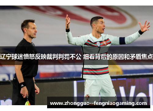 辽宁球迷愤怒反映裁判判罚不公 细看背后的原因和矛盾焦点