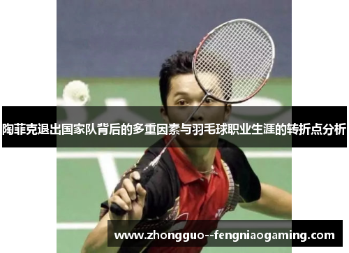 陶菲克退出国家队背后的多重因素与羽毛球职业生涯的转折点分析