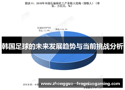 韩国足球的未来发展趋势与当前挑战分析