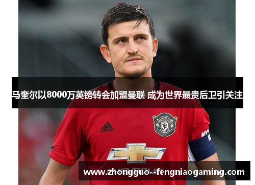 马奎尔以8000万英镑转会加盟曼联 成为世界最贵后卫引关注