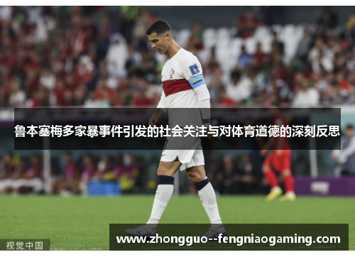 鲁本塞梅多家暴事件引发的社会关注与对体育道德的深刻反思