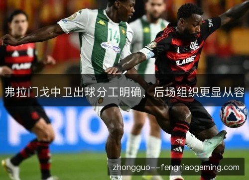 弗拉门戈中卫出球分工明确,后场组织更显从容 弗拉门戈中卫出球分工明确,后场组织更显从容